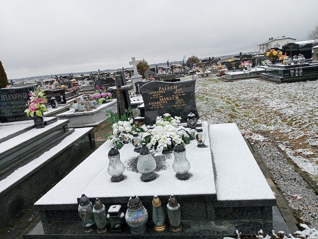 Grób Apolonia Paluch