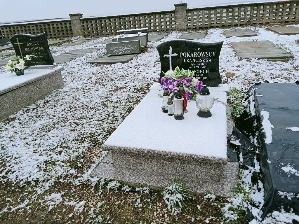Grób Franciszek Pokarowski