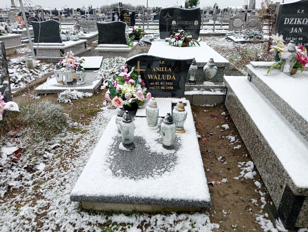 Grób Aniela Waluda